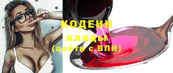 крисы Белокуриха