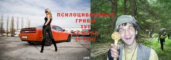 mdpv Беломорск