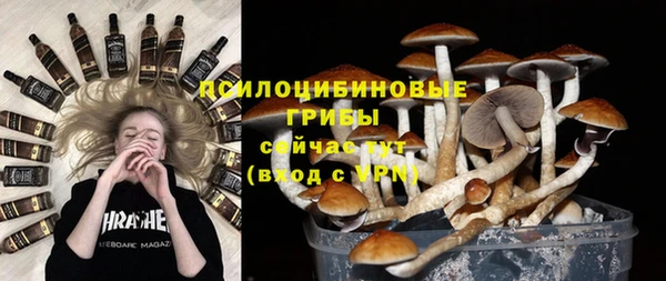крисы Белокуриха