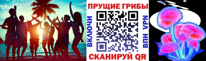 Псилоцибиновые грибы ЛСД  блэк спрут зеркало  Котельнич  даркнет какой сайт  наркотики 